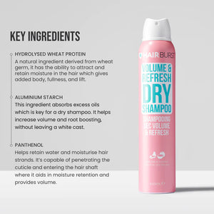 Volume & Refresh Dry Shampoo - MazenOnline