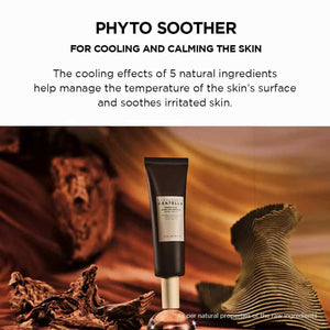 Probio-Cica Glow Sun Ampoule-SKIN1004